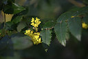 BUITEN BEELD Foto: 347280