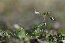 BUITEN BEELD Foto: 347286