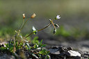 BUITEN BEELD Foto: 347287