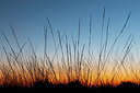 BUITEN BEELD Foto: 347322