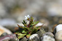 BUITEN BEELD Foto: 347344