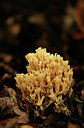 BUITEN BEELD Foto: 347450