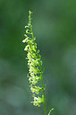 BUITEN BEELD Foto: 347469