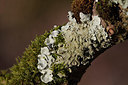 BUITEN BEELD Foto: 347477