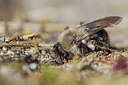 BUITEN BEELD Foto: 347481