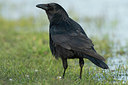 BUITEN BEELD Foto: 347512