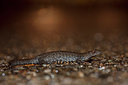 BUITEN BEELD Foto: 347551
