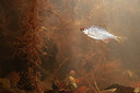 BUITEN BEELD Foto: 347580