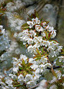 BUITEN BEELD Foto: 347622