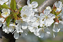 BUITEN BEELD Foto: 347624