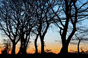 BUITEN BEELD Foto: 347719