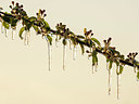 BUITEN BEELD Foto: 347805