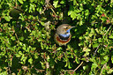 BUITEN BEELD Foto: 347942