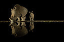 BUITEN BEELD Foto: 347995