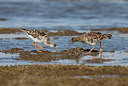 BUITEN BEELD Foto: 348003