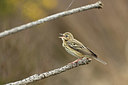BUITEN BEELD Foto: 348035