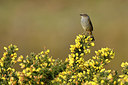 BUITEN BEELD Foto: 348040