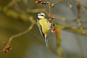 BUITEN BEELD Foto: 348044
