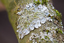 BUITEN BEELD Foto: 348093