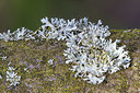 BUITEN BEELD Foto: 348096