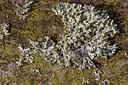 BUITEN BEELD Foto: 348097