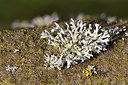 BUITEN BEELD Foto: 348098