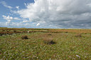 BUITEN BEELD Foto: 348114