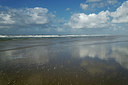 BUITEN BEELD Foto: 348131