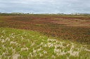 BUITEN BEELD Foto: 348141