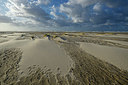 BUITEN BEELD Foto: 348157