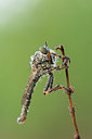 BUITEN BEELD Foto: 348186