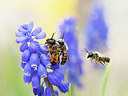 BUITEN BEELD Foto: 348236
