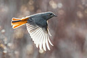 BUITEN BEELD Foto: 348429