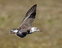 BUITEN BEELD Foto: 348473