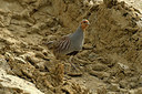 BUITEN BEELD Foto: 348481