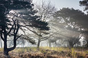 BUITEN BEELD Foto: 348498