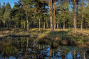 BUITEN BEELD Foto: 348501