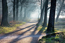 BUITEN BEELD Foto: 348505