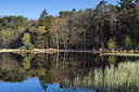 BUITEN BEELD Foto: 348528