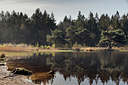 BUITEN BEELD Foto: 348530