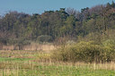 BUITEN BEELD Foto: 348532