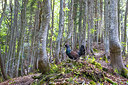 BUITEN BEELD Foto: 348561