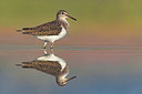 BUITEN BEELD Foto: 348616