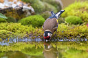 BUITEN BEELD Foto: 348690