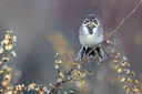 BUITEN BEELD Foto: 348732