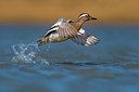 BUITEN BEELD Foto: 348831