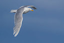 BUITEN BEELD Foto: 348851