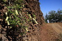 BUITEN BEELD Foto: 34050