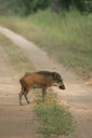 BUITEN BEELD Foto: 34064
