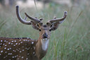 BUITEN BEELD Foto: 34069